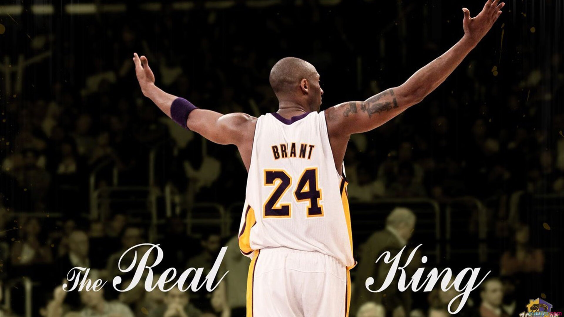 世界乒乓球赛事关注度持续走高